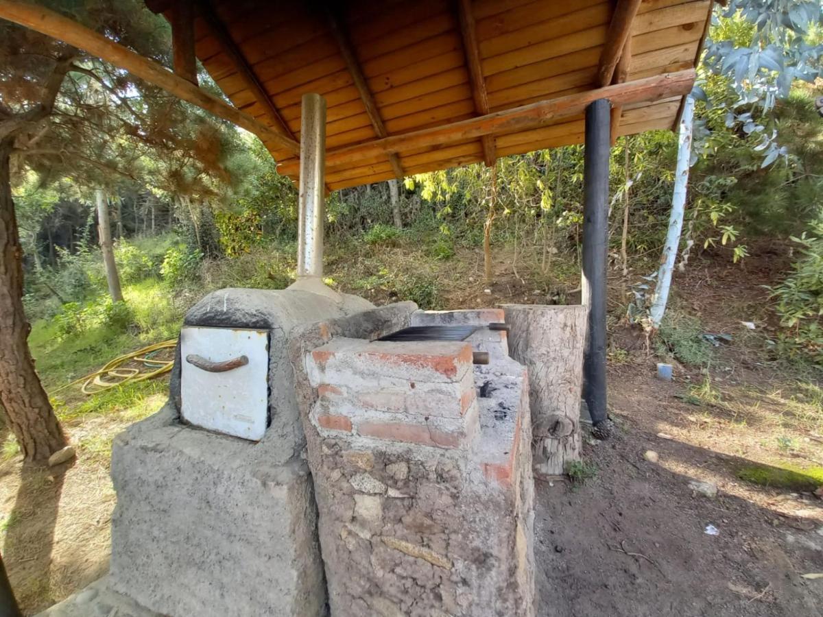Cabanas Пуэртесильо Экстерьер фото